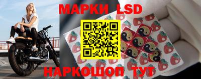 PSILOCYBIN Новокубанск
