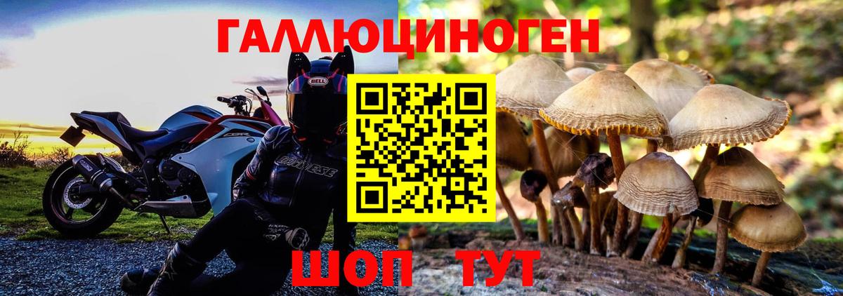 Сургут  Псилоцибиновые грибы Psilocybine cubensis  Вход с VPN 